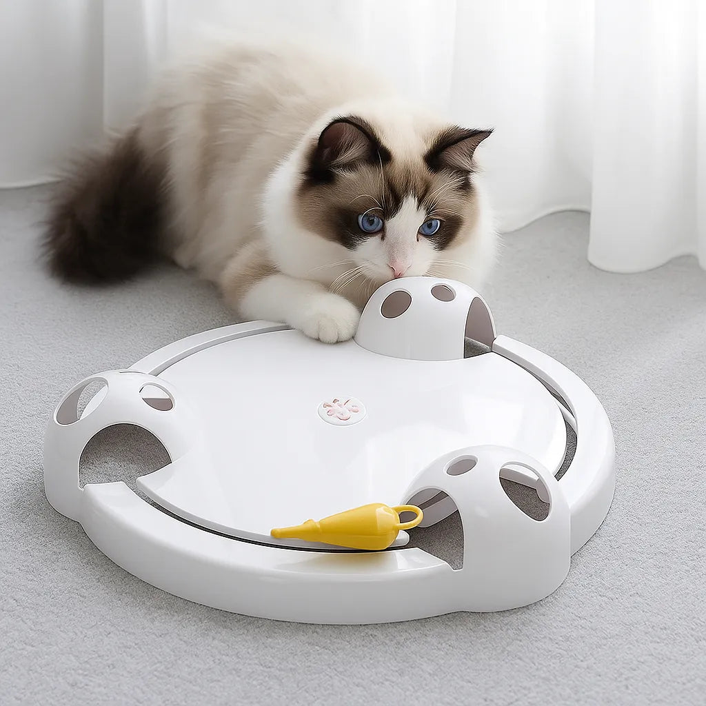 Interaktives Katzenspielzeug | Elektronische Maus mit Geschwindigkeitsstufen