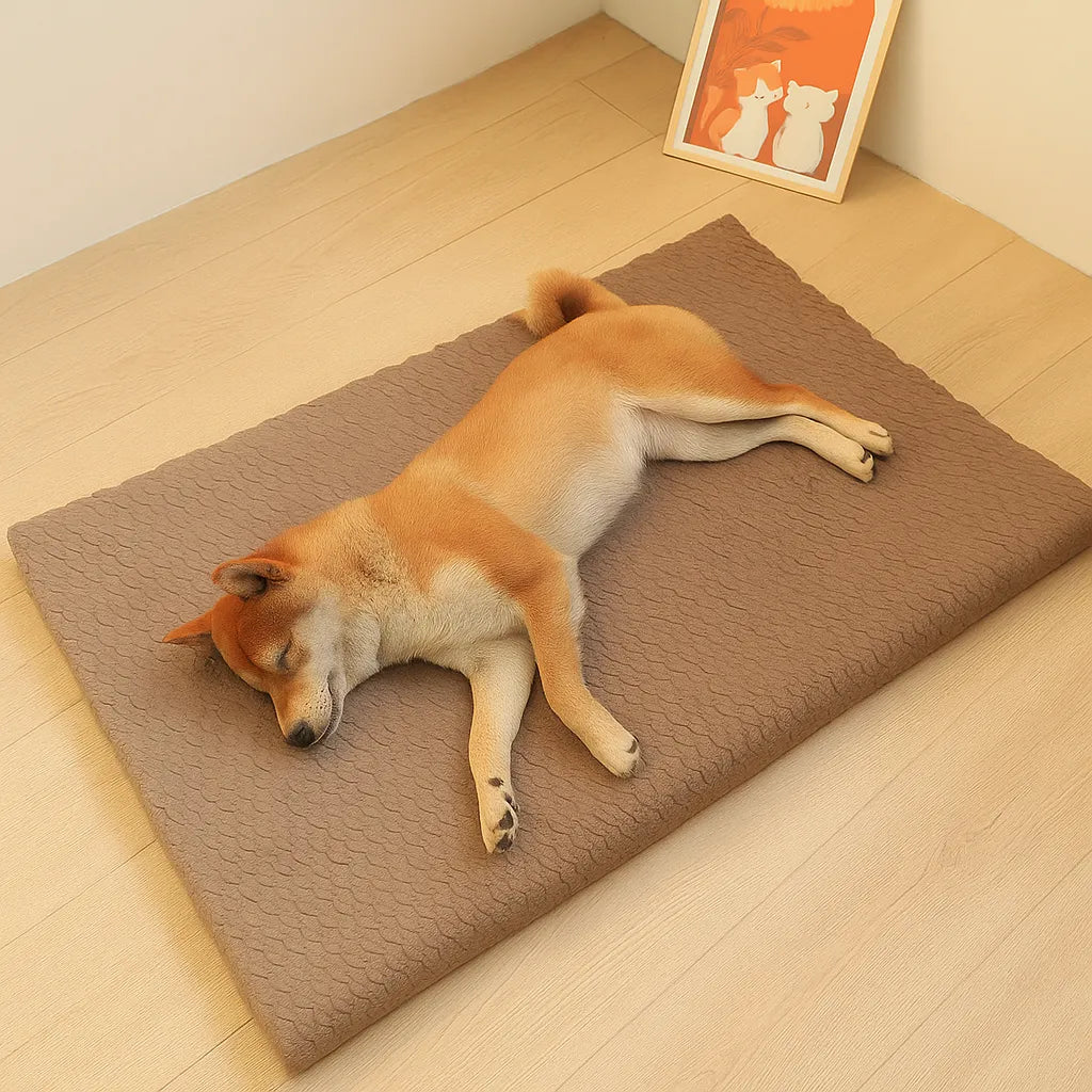 Hundebett mit abnehmbarem Bezug | Waschbar, rutschfest & warm für den Winter