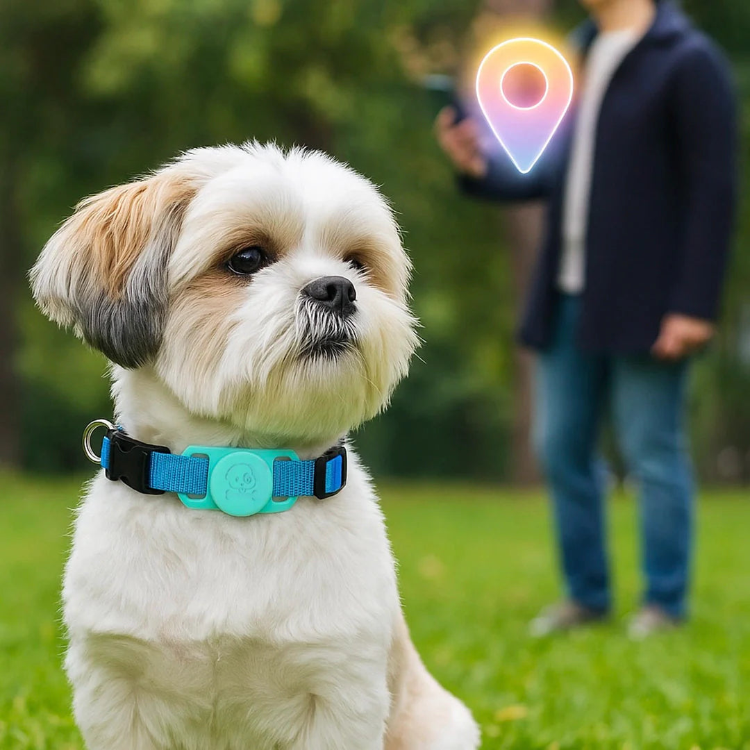 Hundehalsband mit AirTag Halterung | Wasserdicht & sicher für draußen