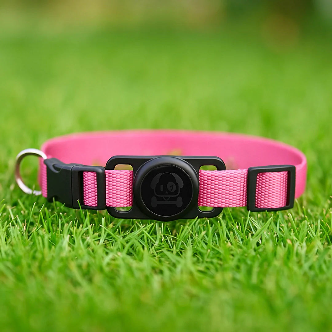 Hundehalsband mit AirTag Halterung | Wasserdicht & sicher für draußen