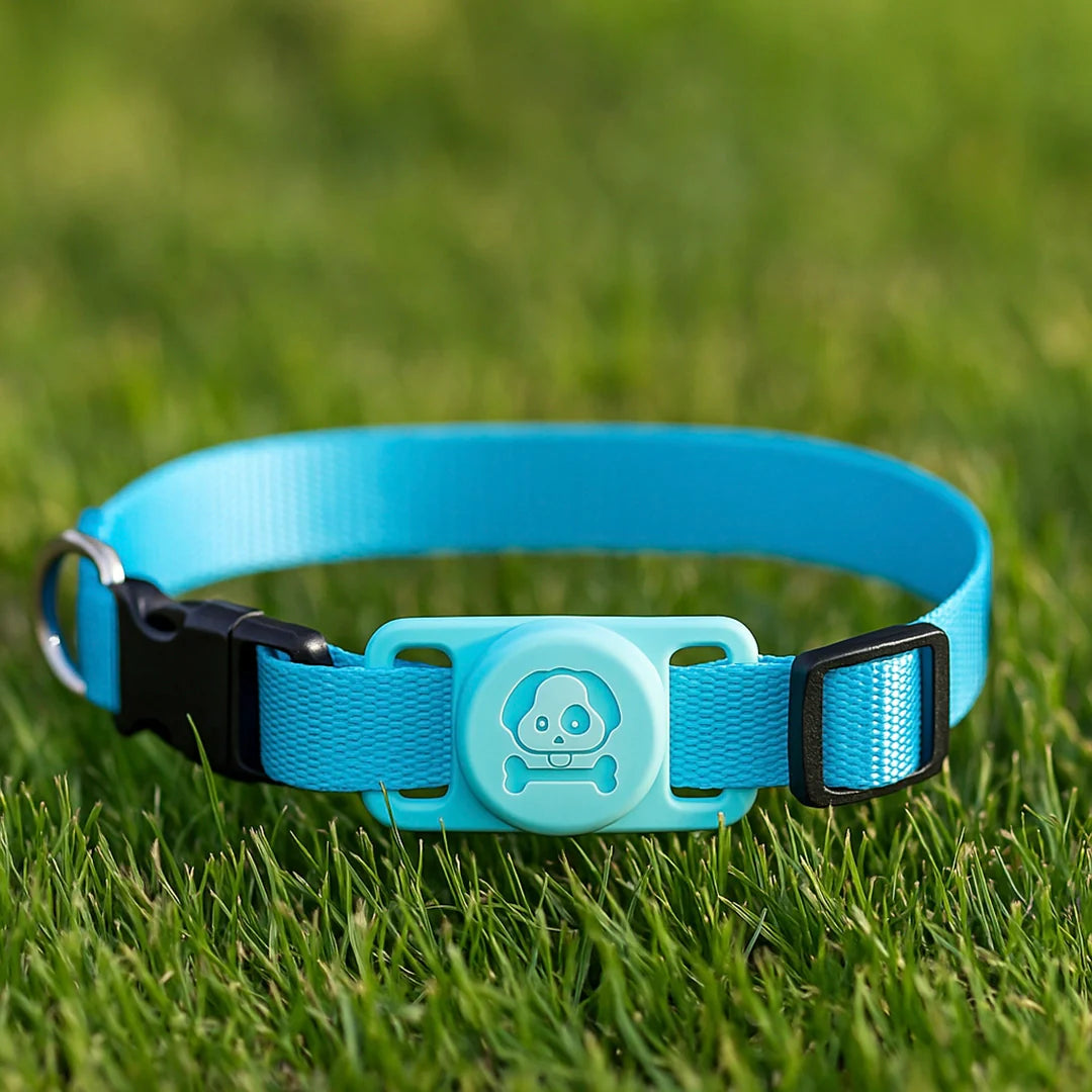 Hundehalsband mit AirTag Halterung | Wasserdicht & sicher für draußen
