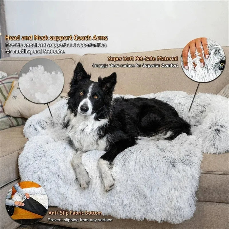 Zelara - Schütze dein Sofa. Verwöhne dein Haustier.