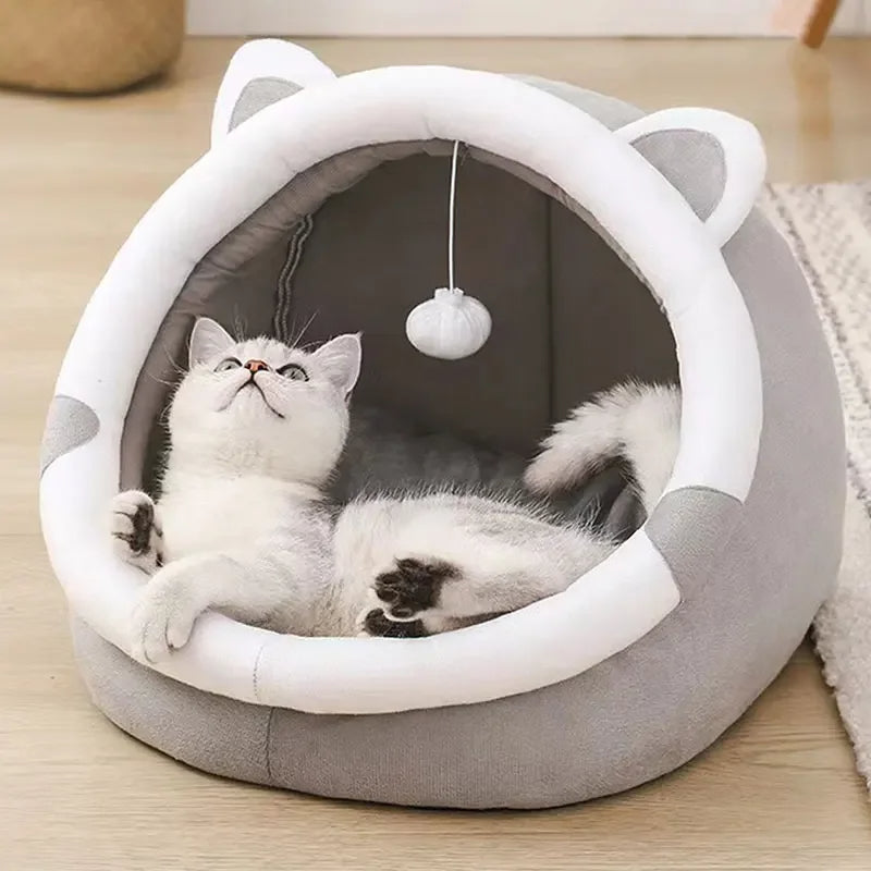 Zelara – Wo Ihre Katze gerne abhängt!