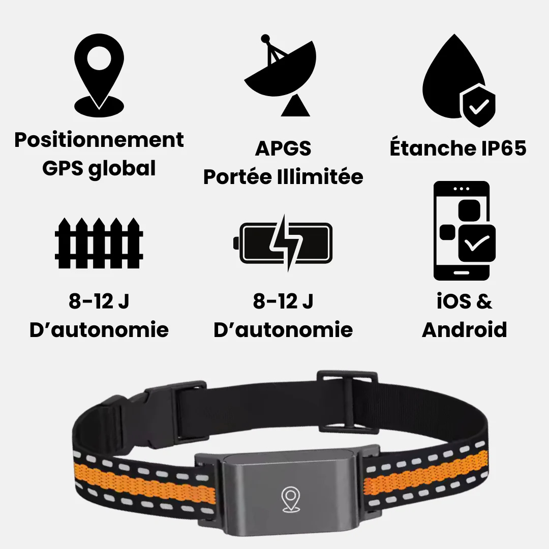 Zelara™ GPS-Halsband für Katzen – Unbegrenzte Reichweite, Keine Abonnementskosten