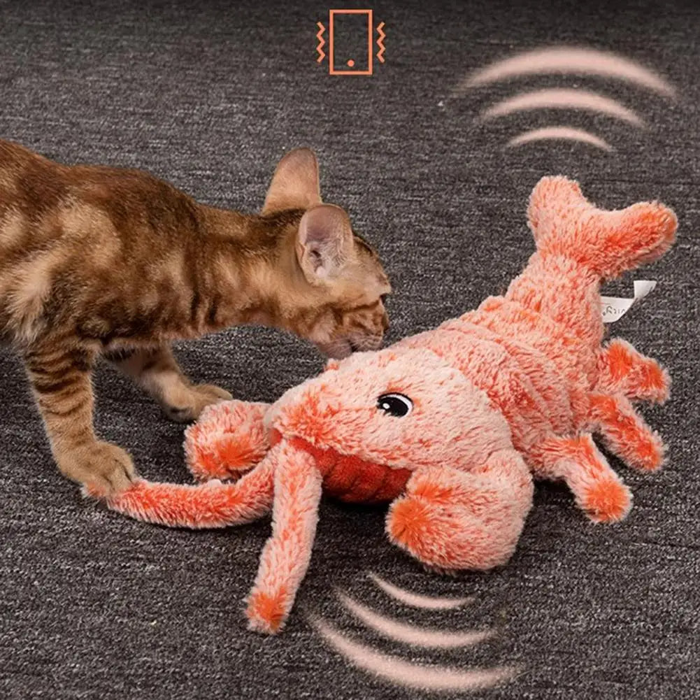 Zelara – das perfekte Spielzeug, um Ihren Hund stundenlang zu beschäftigen!