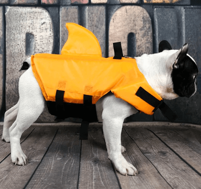 Schwimmweste für Hunde - Sicher & Komfortabel