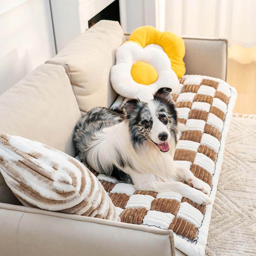 Kuscheldecke Haustier Sofa Möbelschutz Decke Chenille