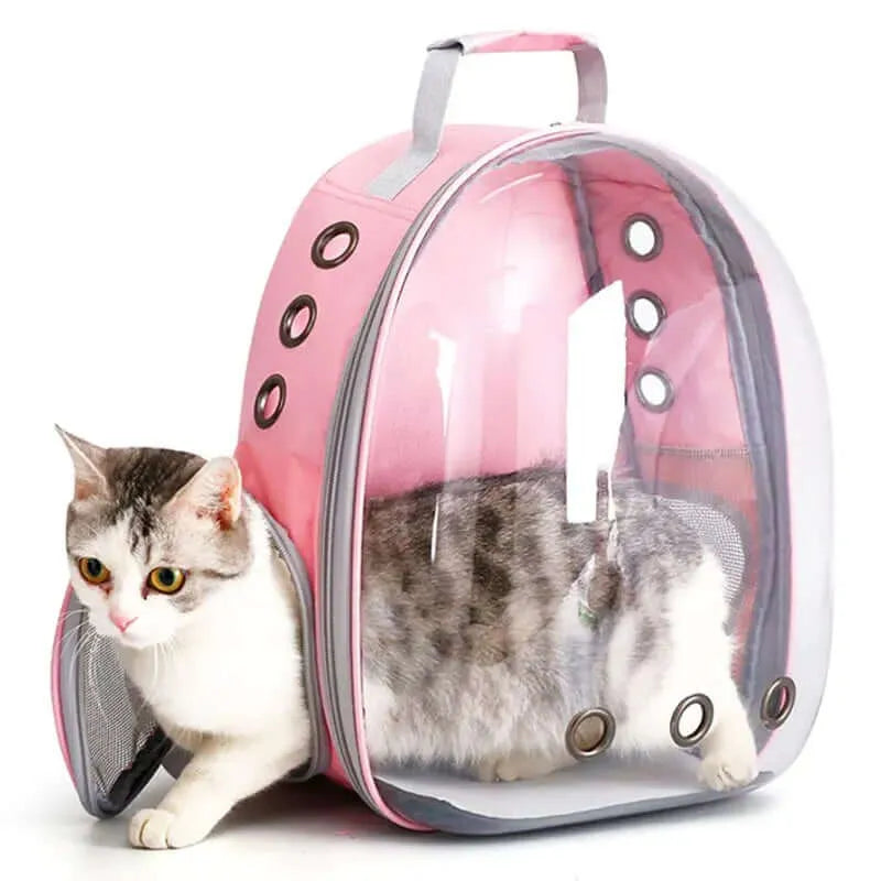 VistaBag – Der stylische Katzen-Rucksack für sicheren & stressfreien Transport