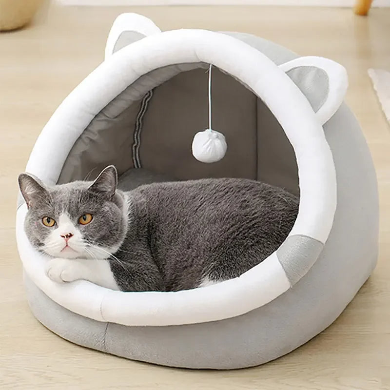 Zelara – Wo Ihre Katze gerne abhängt!