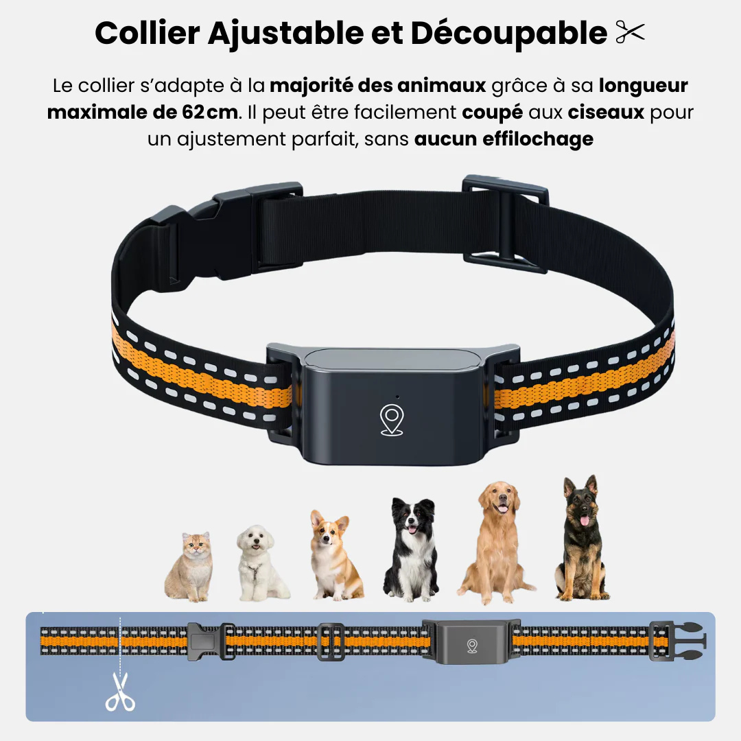 Zelara™ GPS-Halsband für Katzen – Unbegrenzte Reichweite, Keine Abonnementskosten