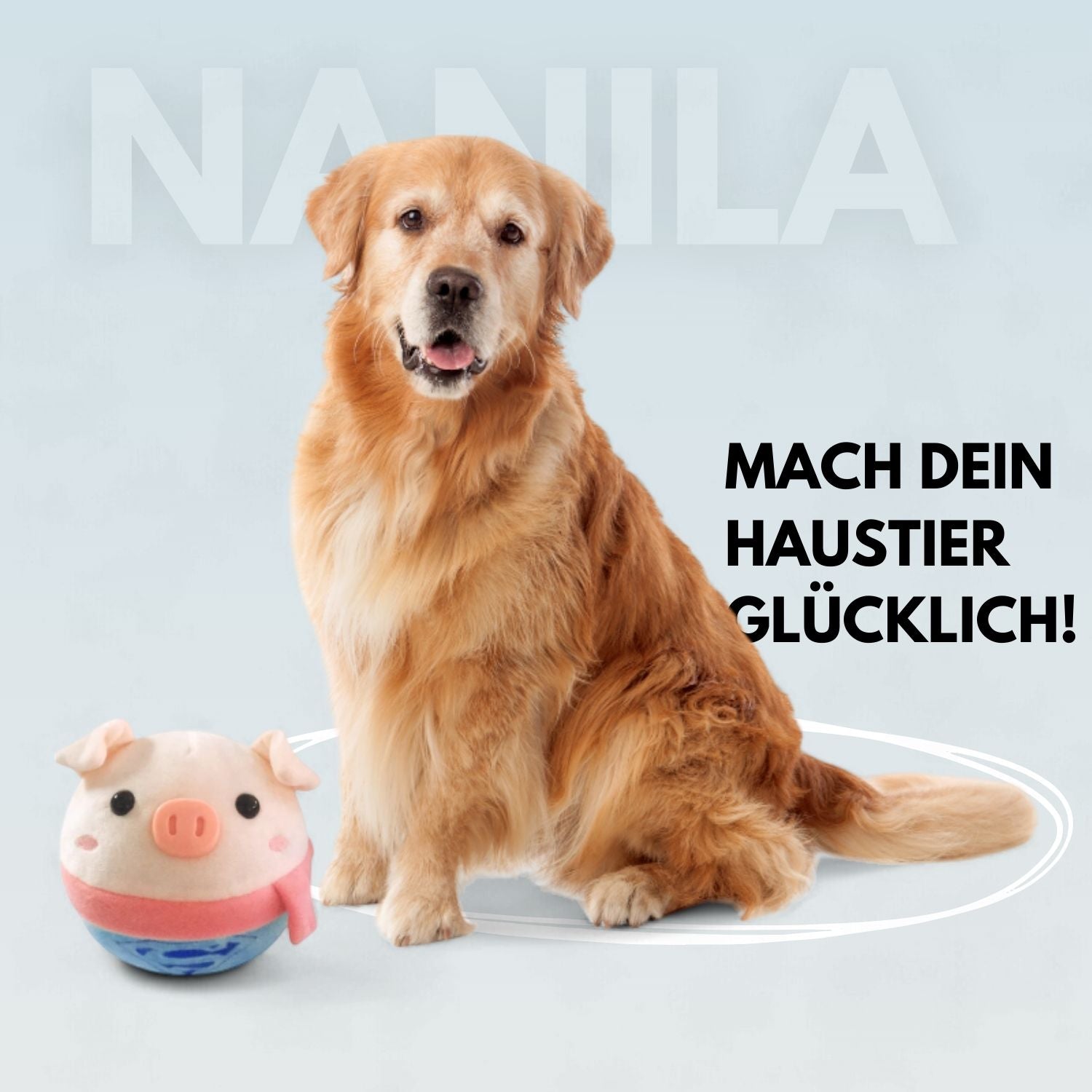 Zelara - Endloser Spaß für Ihren pelzigen Freund