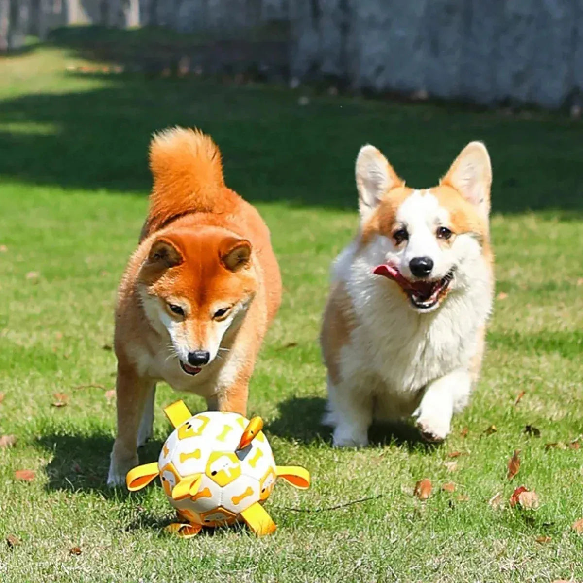 Robuster Zerrball für Hunde | Strapazierfähiges Hundespielzeug