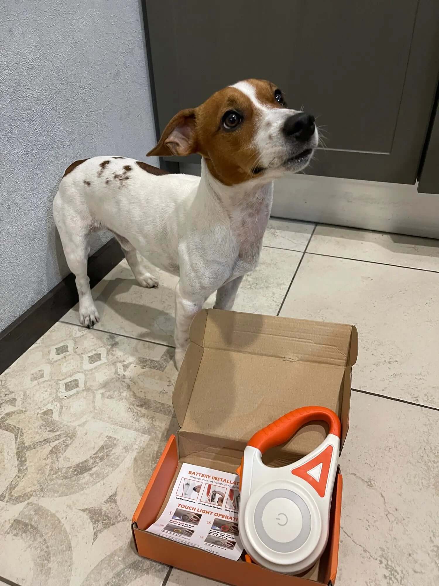 LED Hundeleine mit Taschenlampe, 5m, Leucht-Leine