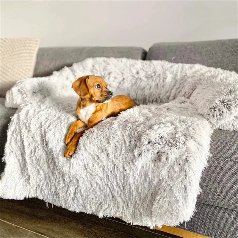 Zelara - Schütze dein Sofa. Verwöhne dein Haustier.