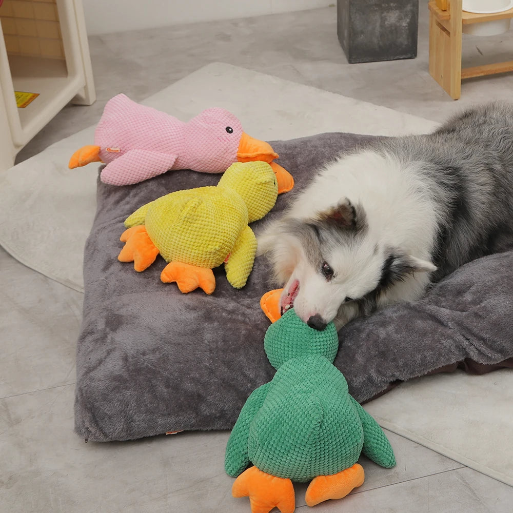 CuddleQuack️ - Schenke deinem Haustier einen lebenslangen Freund