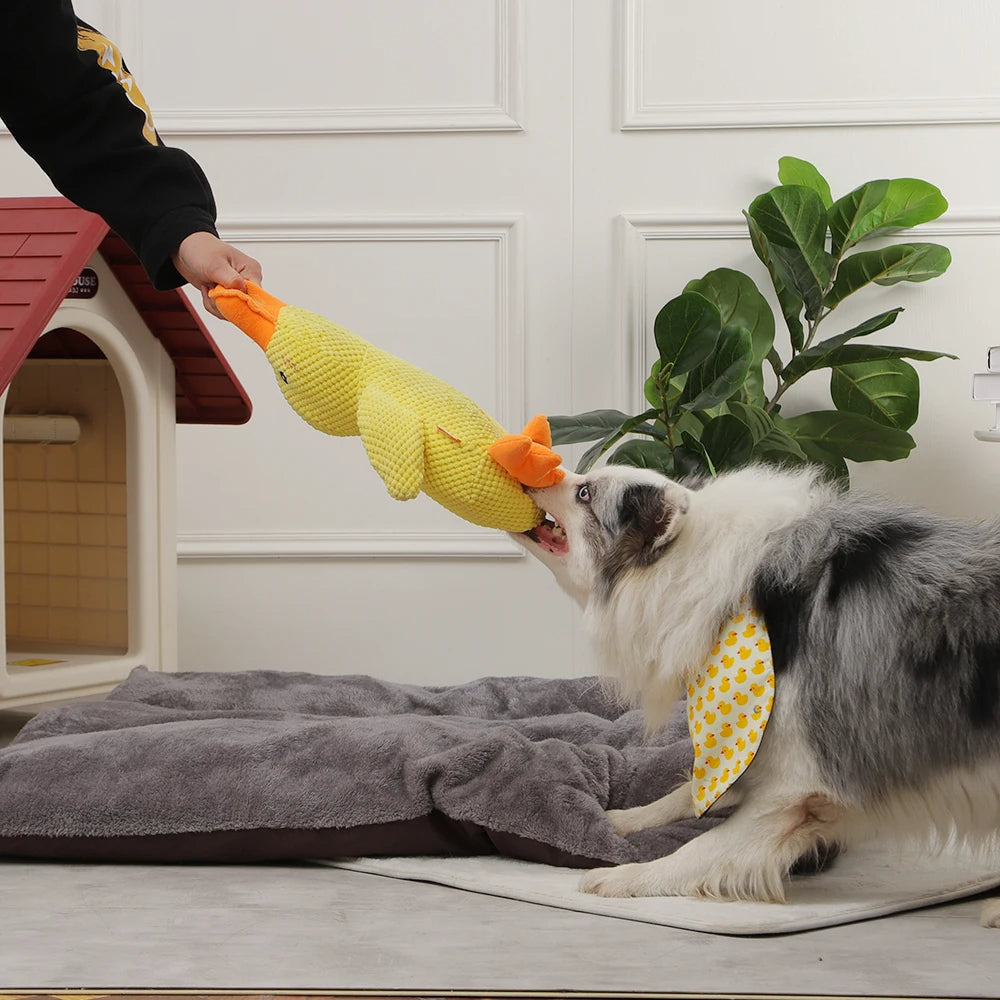 CuddleQuack️ - Schenke deinem Haustier einen lebenslangen Freund