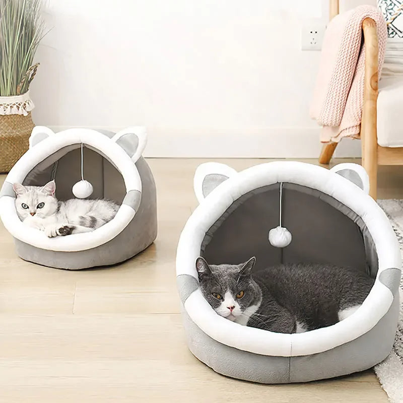 Zelara – Wo Ihre Katze gerne abhängt!