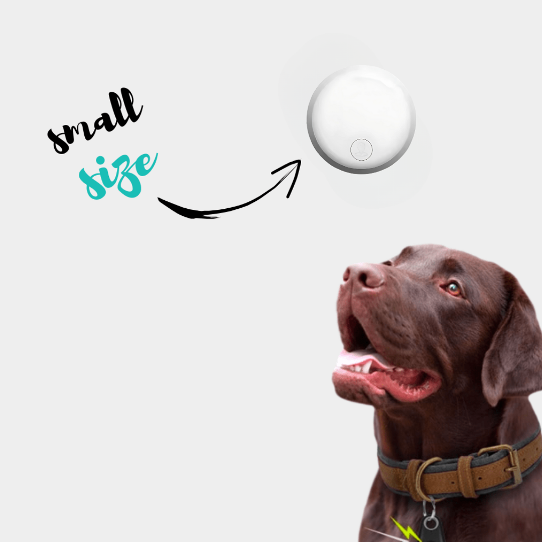 GPS-Tracker für Hunde 3 in 1 - Zelara - ANDROID / iOS