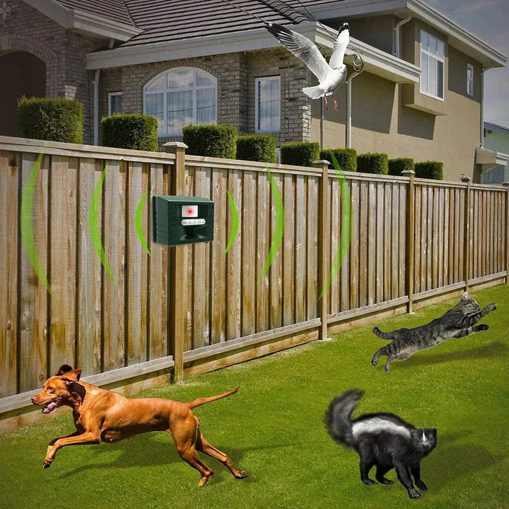 Specht Ultraschallvertreiber für effektive Vogelkontrolle - Vertreiben Sie Spechte