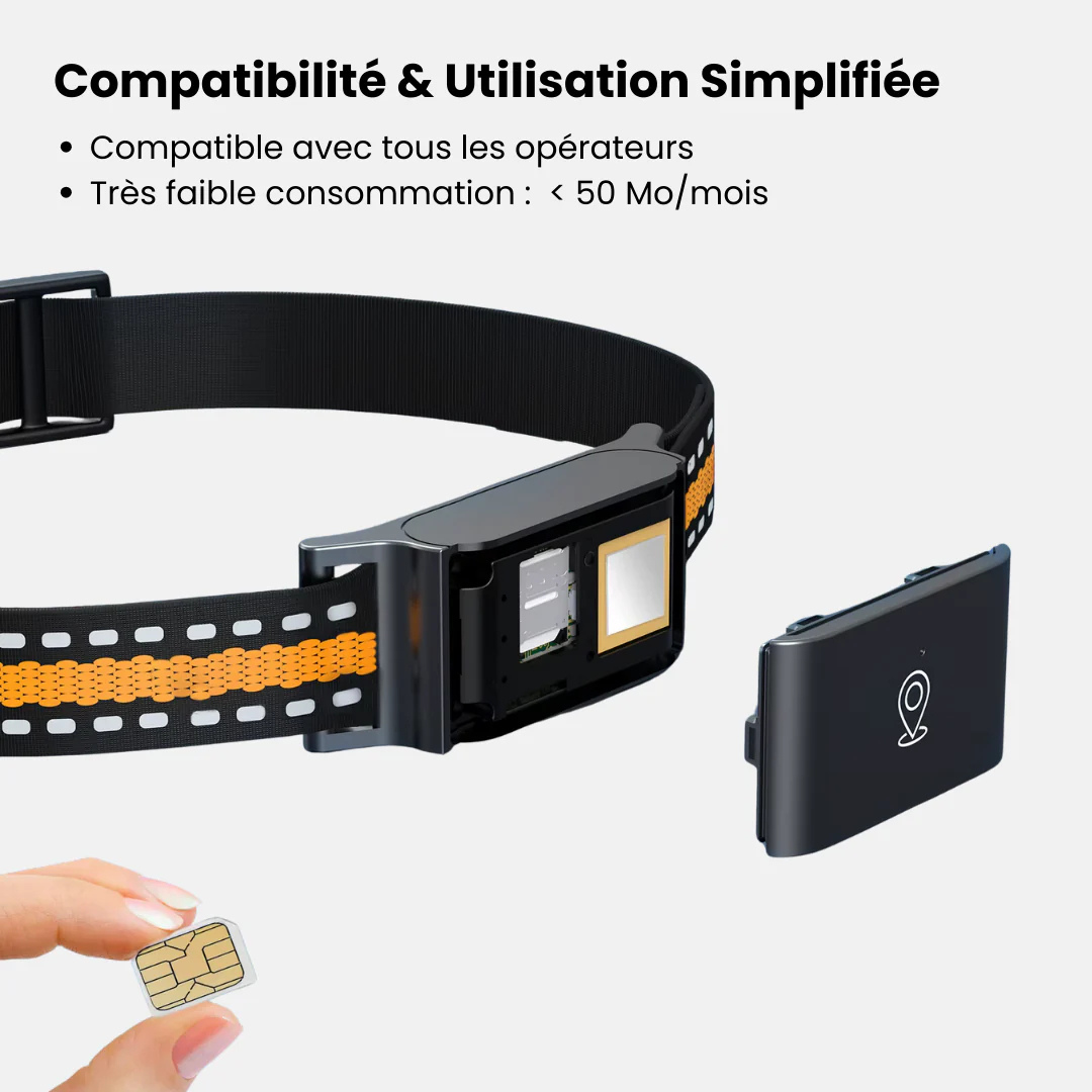 Zelara™ GPS-Halsband für Katzen – Unbegrenzte Reichweite, Keine Abonnementskosten