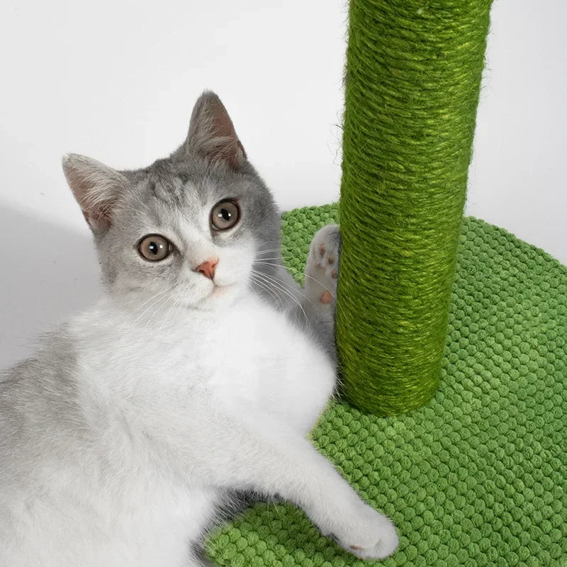Zelara – Schonen Sie Ihre Couch und machen Sie Ihrer Katze eine Freude!