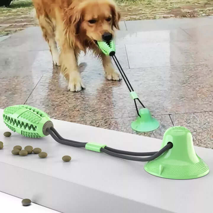 Robustes Hundezerrspielzeug mit Saugnapf