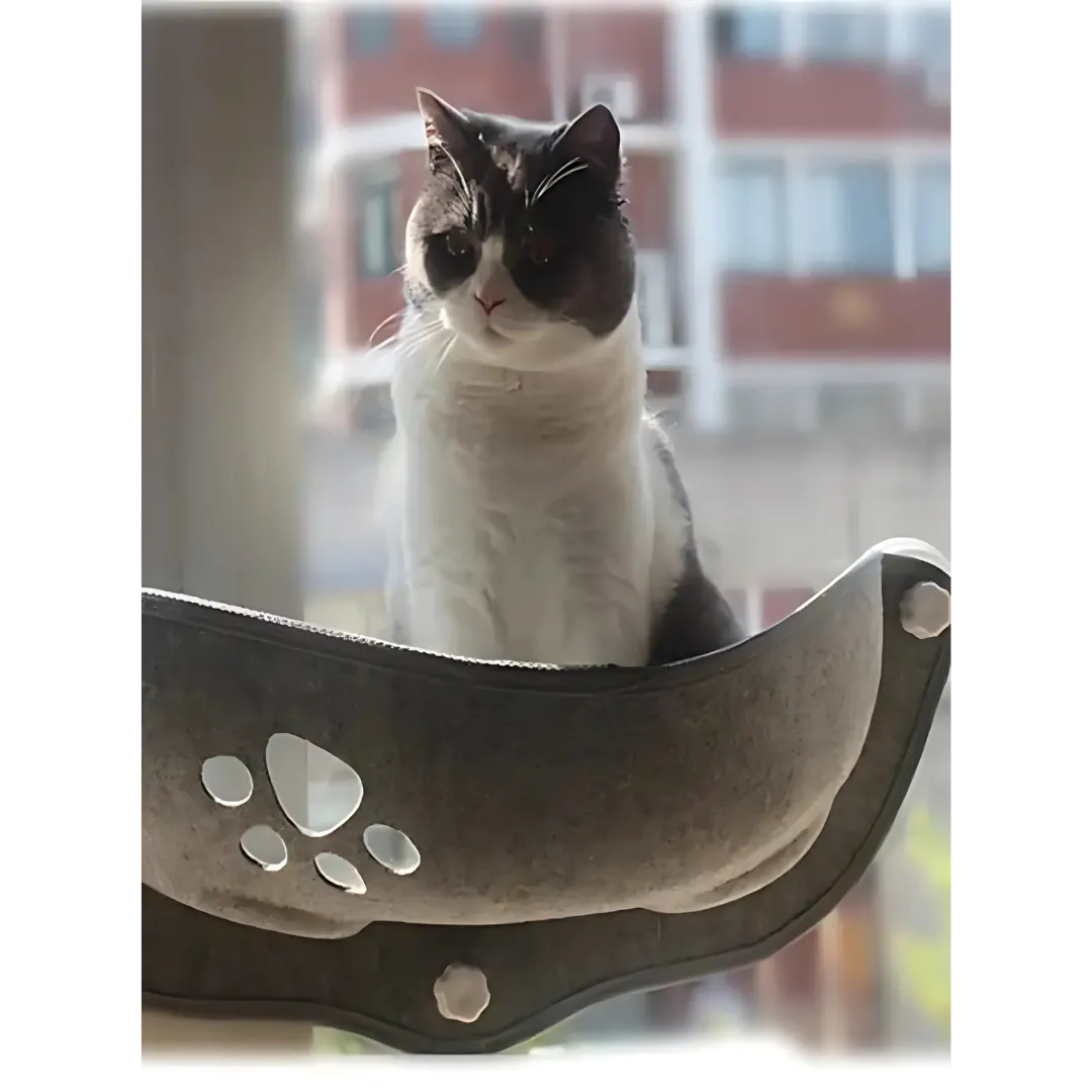 Fenster Hängematte für Katzen | Stabil & platzsparend