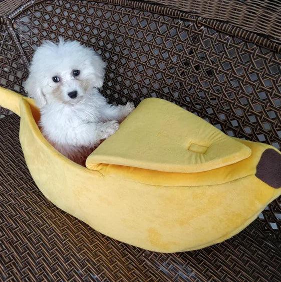 Zelara – das kuschelige bananenförmige Bett für Ihren pelzigen Freund!
