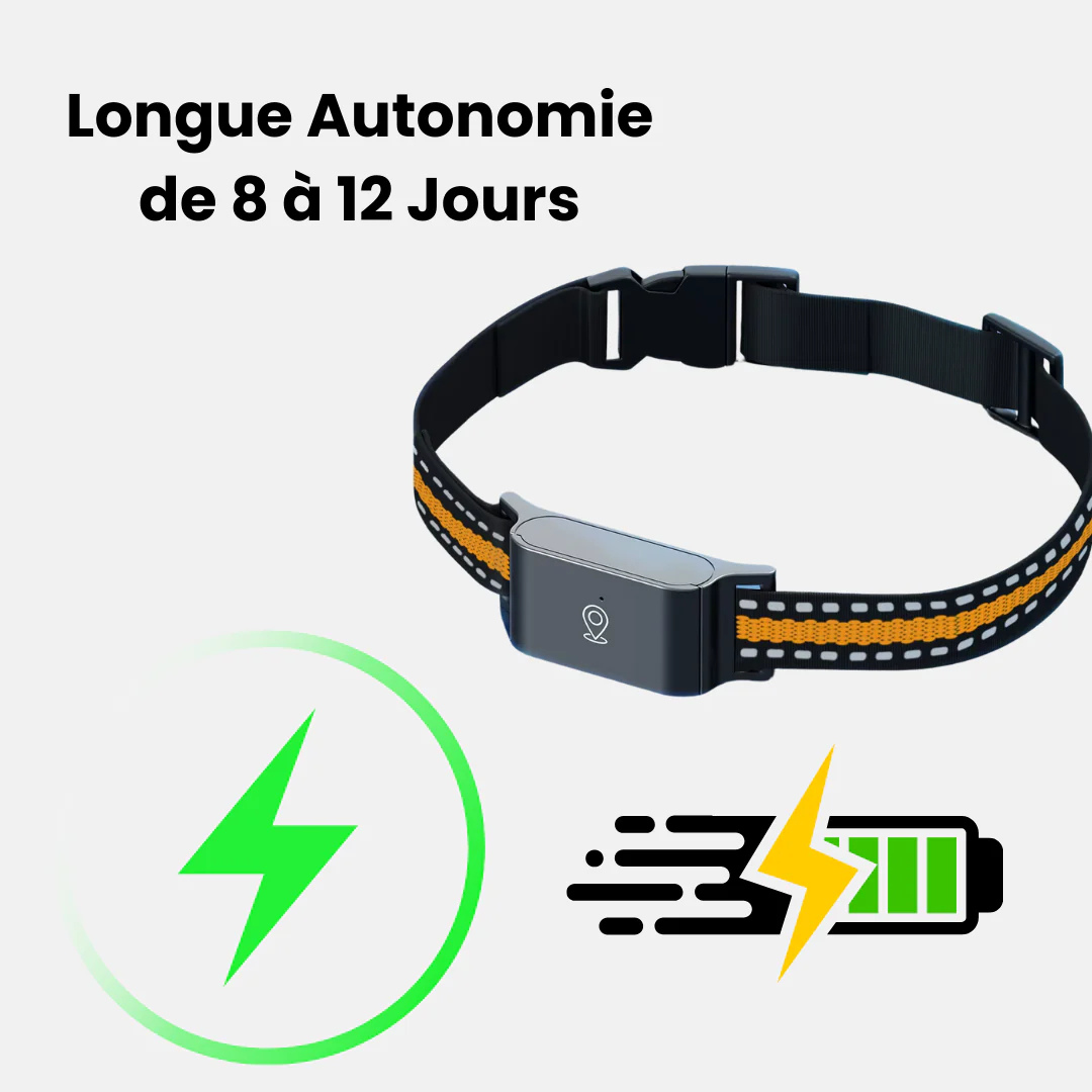 Zelara™ GPS-Halsband für Katzen – Unbegrenzte Reichweite, Keine Abonnementskosten