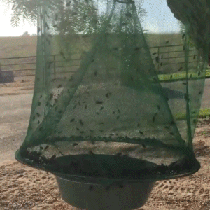 Wiederverwendbare Fliegenfalle für den Außenbereich – Umweltfreundlich, geruchslos & chemiefrei