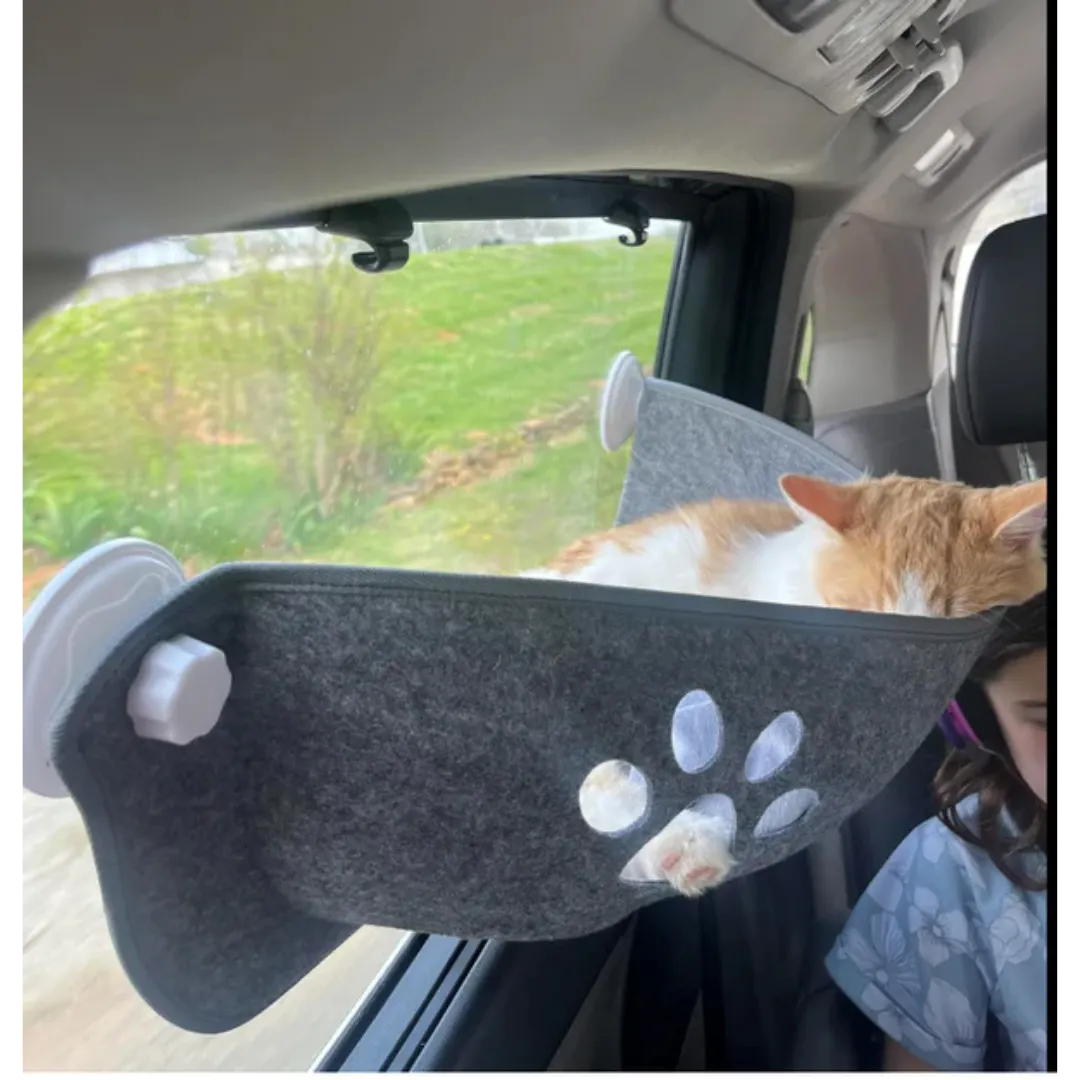 Fenster Hängematte für Katzen | Stabil & platzsparend