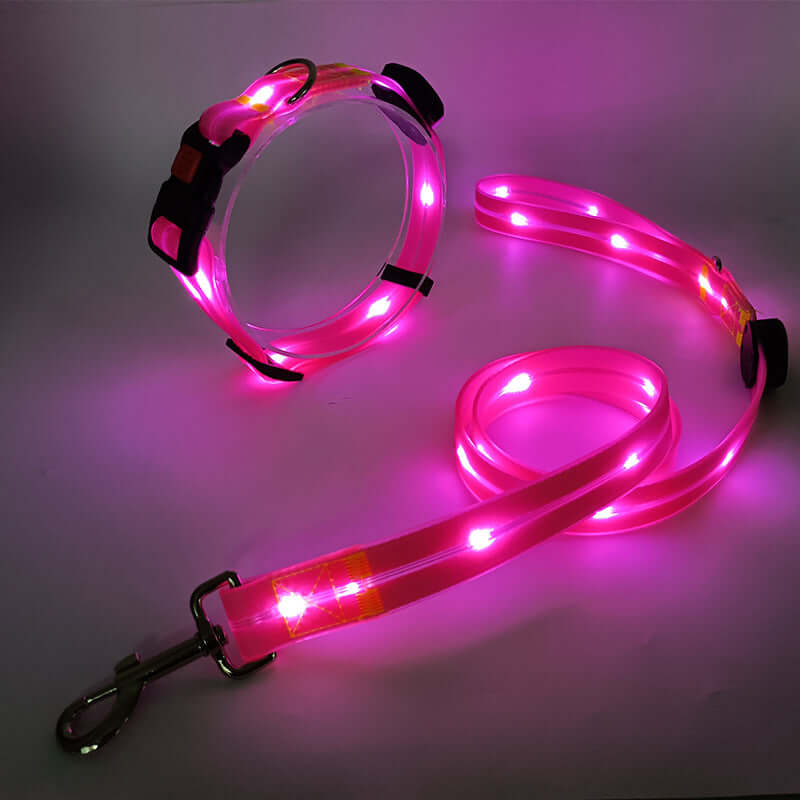 LED Hundehalsband mit Leine - Sicher & Sichtbar