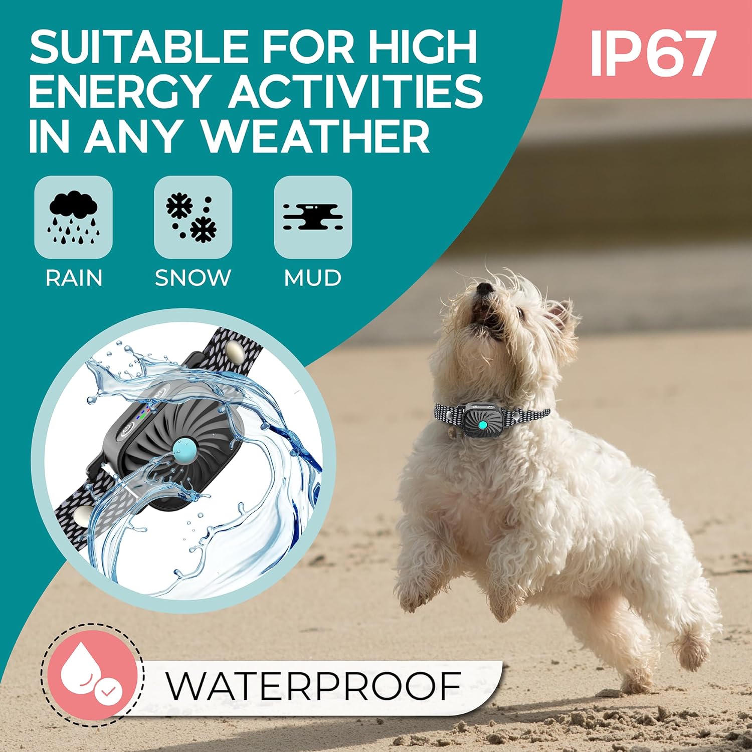 CANINECARE - BarkEase Anti-Bark Halsband | Für Kleine Hunde