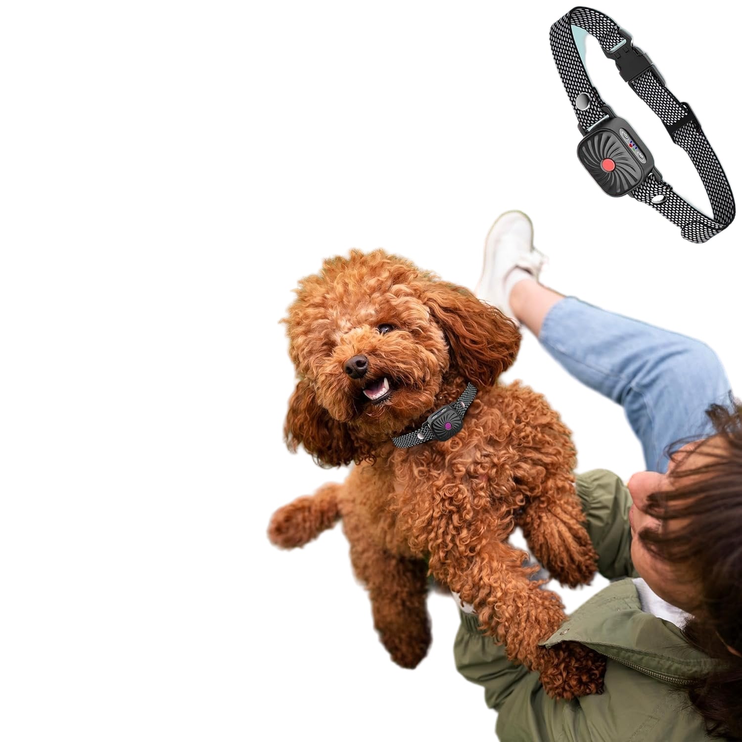 Hundehalsband zur Lärmkontrolle