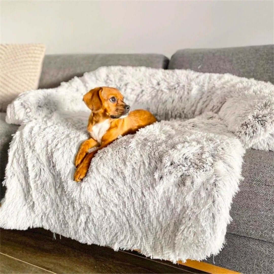 Kuscheliges Haustierbett Hundesofa