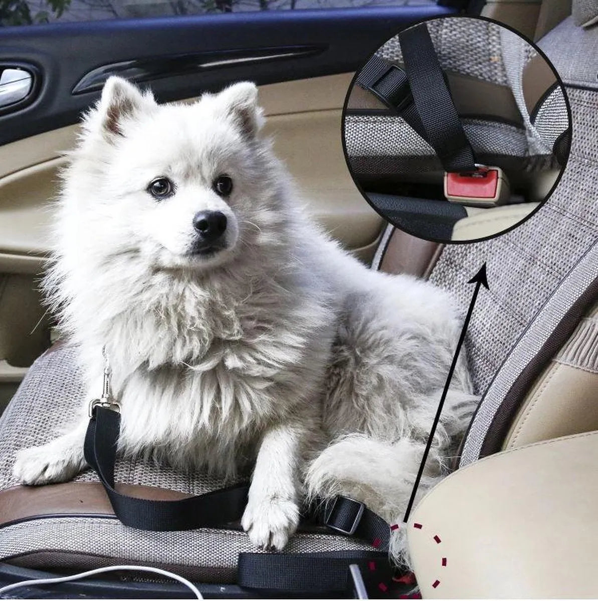 Autosicherheitsgurt für Hunde | Verstellbar & sicher im Auto