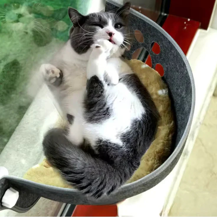 Katzen Fensterliege mit Saugnäpfen | Platz am Fenster für Katzen