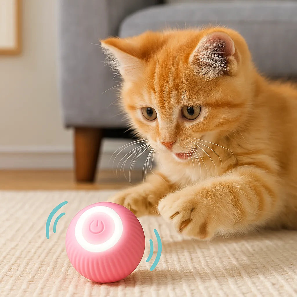 CatRoller | Der interaktive Spielball für endlosen Katzenspaß