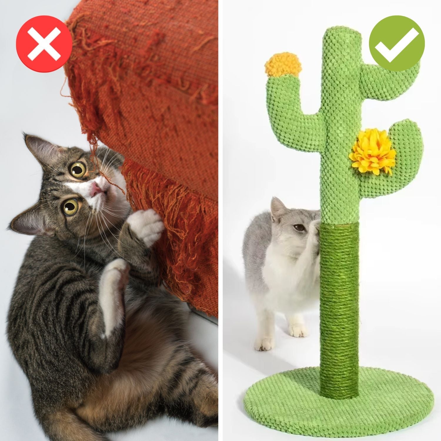 Zelara – Schonen Sie Ihre Couch und machen Sie Ihrer Katze eine Freude!