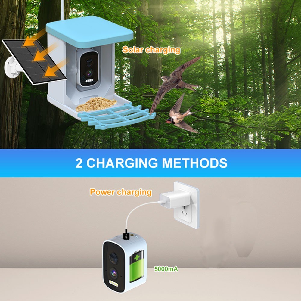 Solarbetriebener intelligenter Vogelfutterspender mit 4MP Kamera und 2L Kapazität für den Außenbereich