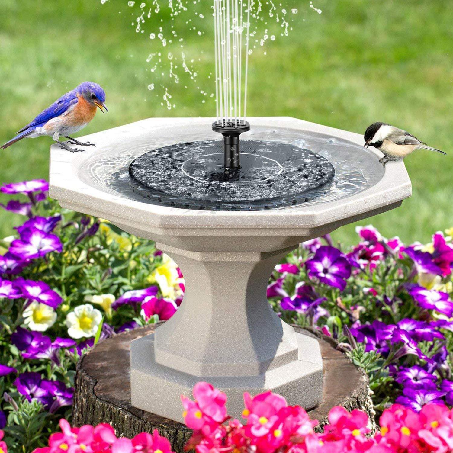 Umweltfreundlicher Solarbrunnen für Vögel und Gartenvergnügen