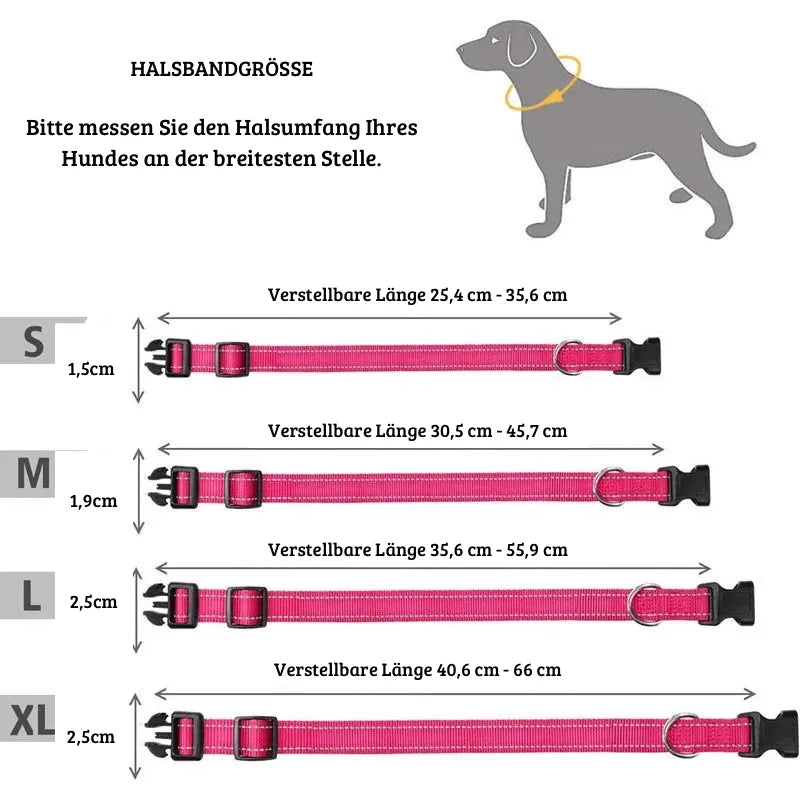 Reflektierendes Sicherheits-Hundehalsband | Für Spaziergänge im Dunkeln