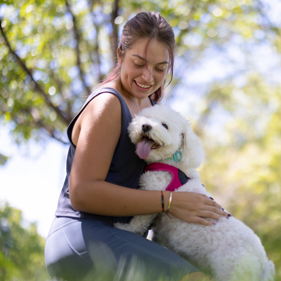 Hunde Hartboden Einzelsitz