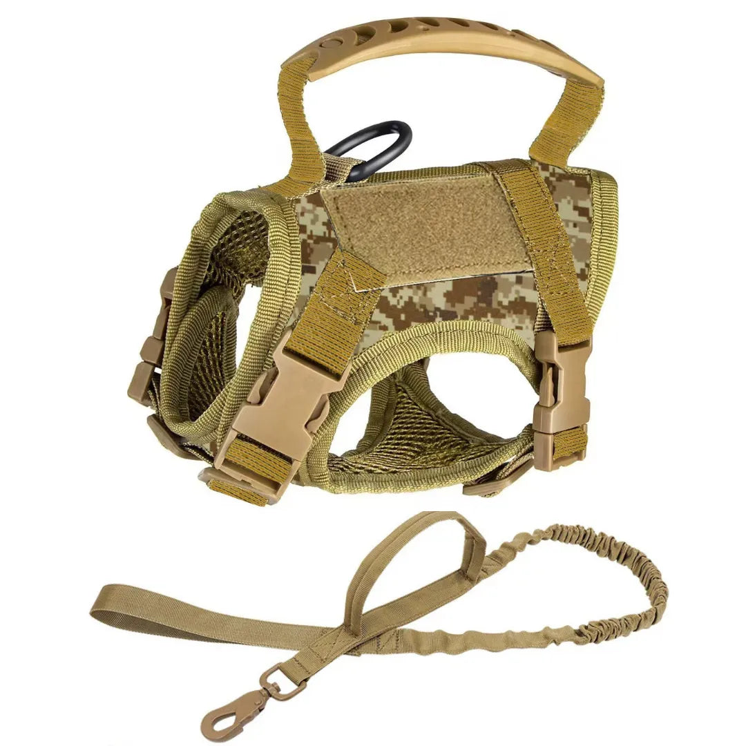 Katzengeschirr mit Leine | Ausbruchsicher, gepolstert & verstellbar