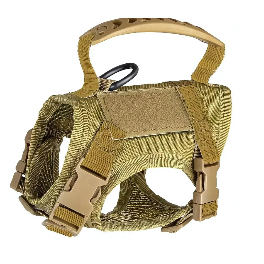 Katzengeschirr mit Leine | Ausbruchsicher, gepolstert & verstellbar