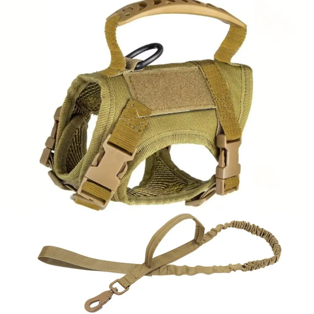 Katzengeschirr mit Leine | Ausbruchsicher, gepolstert & verstellbar