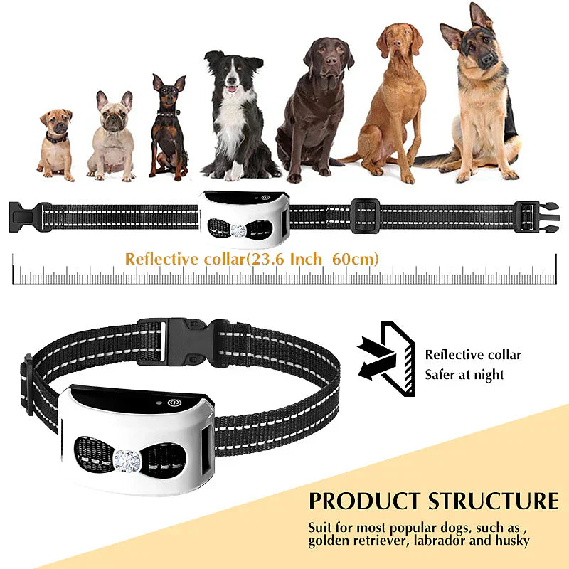 PawPal Drahtloses Hundehalsband – Freiheit und Sicherheit für deinen Hund