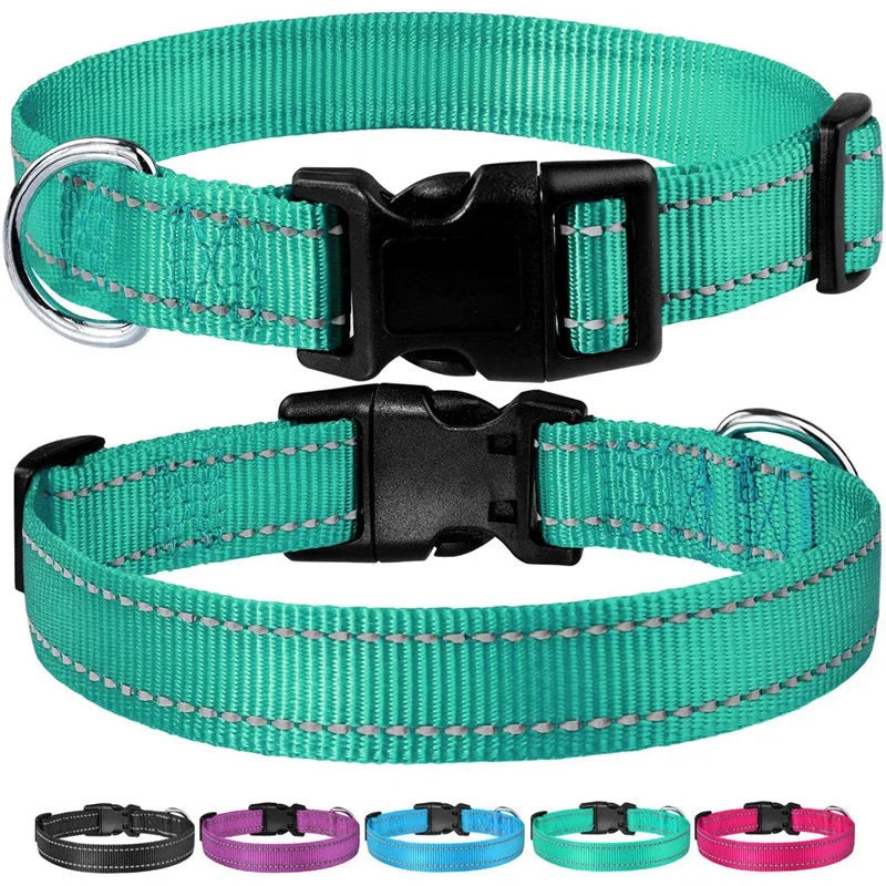 Reflektierendes Sicherheits-Hundehalsband | Für Spaziergänge im Dunkeln