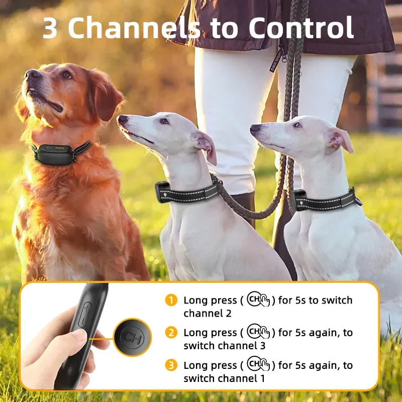 ProTrain – Wiederaufladbares Wasserdichtes Hundetraining Halsband mit Fernbedienung