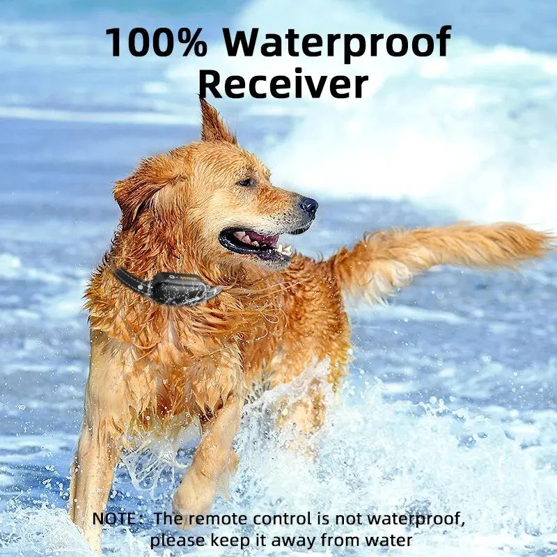 ProTrain – Wiederaufladbares Wasserdichtes Hundetraining Halsband mit Fernbedienung